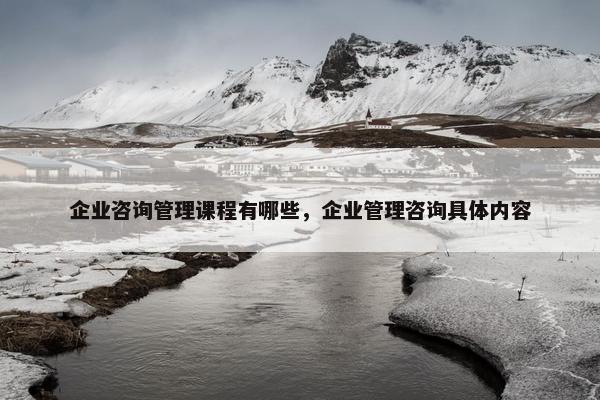企业咨询管理课程有哪些，企业管理咨询具体内容