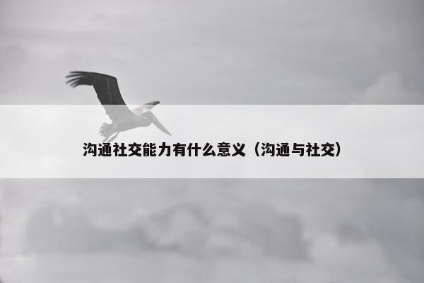 沟通社交能力有什么意义（沟通与社交）