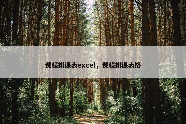 课程排课表excel，课程排课表格