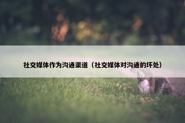 社交媒体作为沟通渠道（社交媒体对沟通的坏处）
