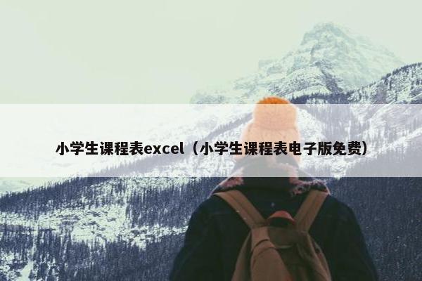 小学生课程表excel（小学生课程表电子版免费）