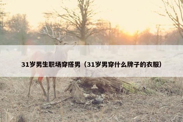 31岁男生职场穿搭男（31岁男穿什么牌子的衣服）