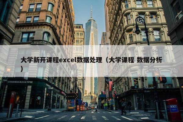 大学新开课程excel数据处理（大学课程 数据分析）