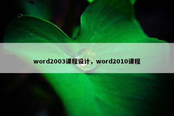 word2003课程设计，word2010课程