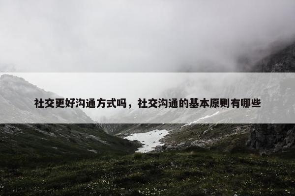 社交更好沟通方式吗，社交沟通的基本原则有哪些