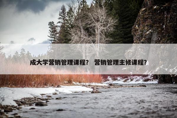 成大学营销管理课程？ 营销管理主修课程？