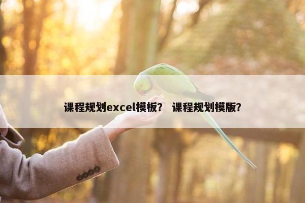 课程规划excel模板？ 课程规划模版？