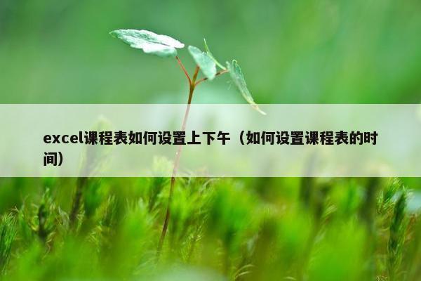 excel课程表如何设置上下午（如何设置课程表的时间）