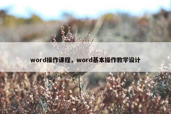 word操作课程，word基本操作教学设计
