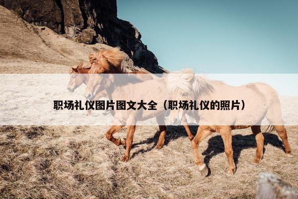 职场礼仪图片图文大全（职场礼仪的照片）