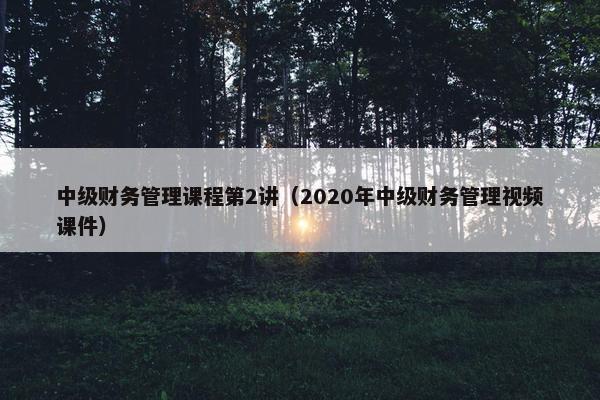 中级财务管理课程第2讲（2020年中级财务管理视频课件）