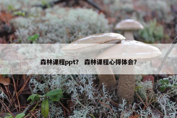 森林课程ppt？ 森林课程心得体会？