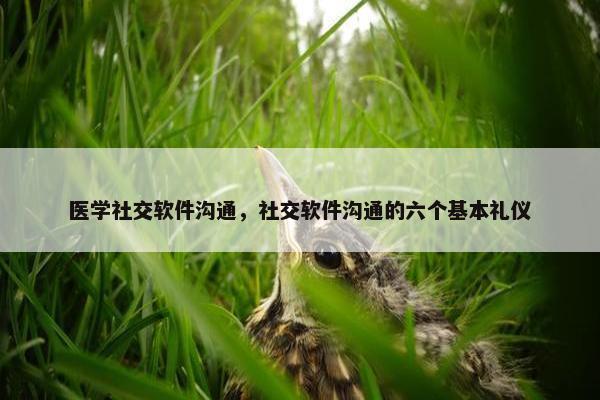 医学社交软件沟通，社交软件沟通的六个基本礼仪