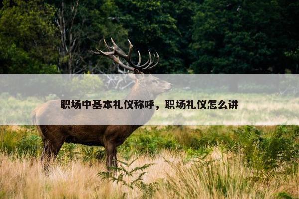 职场中基本礼仪称呼，职场礼仪怎么讲