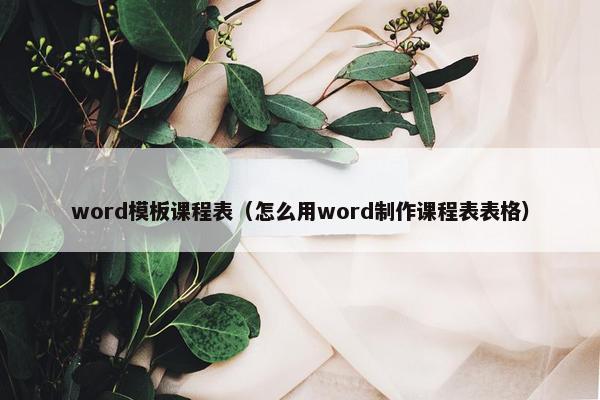 word模板课程表（怎么用word制作课程表表格）