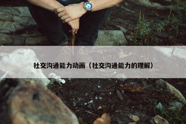 社交沟通能力动画（社交沟通能力的理解）