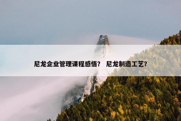 尼龙企业管理课程感悟？ 尼龙制造工艺？