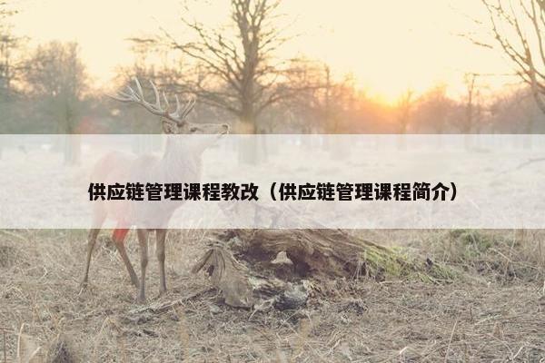 供应链管理课程教改（供应链管理课程简介）