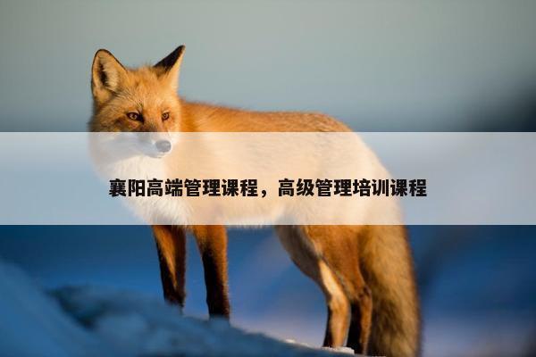 襄阳高端管理课程，高级管理培训课程