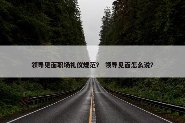 领导见面职场礼仪规范？ 领导见面怎么说？