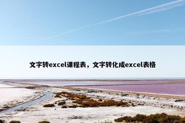文字转excel课程表，文字转化成excel表格