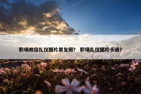 职场微信礼仪图片朋友圈？ 职场礼仪图片卡通？