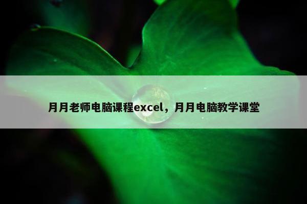 月月老师电脑课程excel，月月电脑教学课堂
