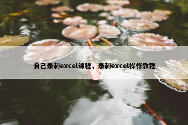 自己录制excel课程，录制excel操作教程