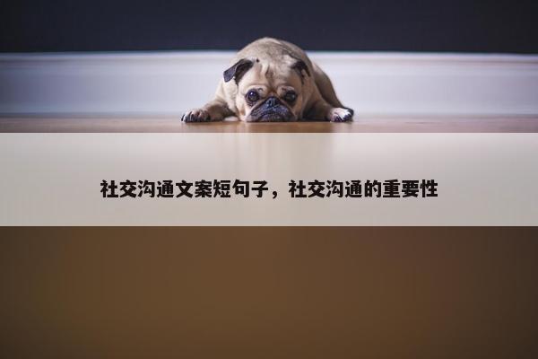 社交沟通文案短句子，社交沟通的重要性