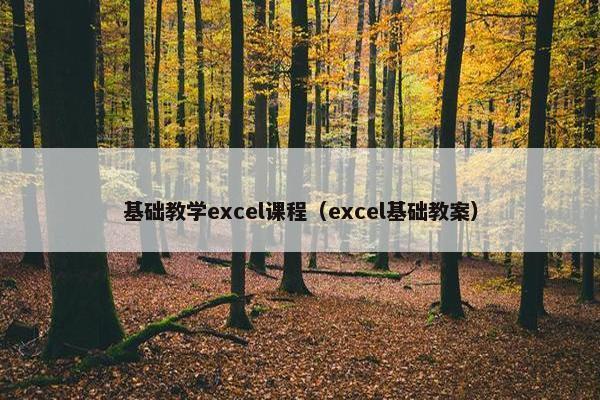 基础教学excel课程（excel基础教案）