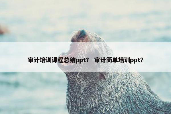 审计培训课程总结ppt？ 审计简单培训ppt？