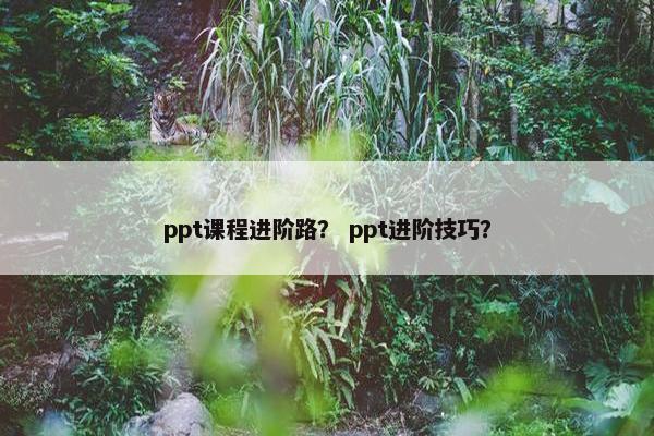 ppt课程进阶路？ ppt进阶技巧？