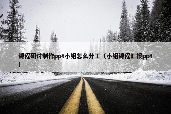 课程研讨制作ppt小组怎么分工（小组课程汇报ppt）