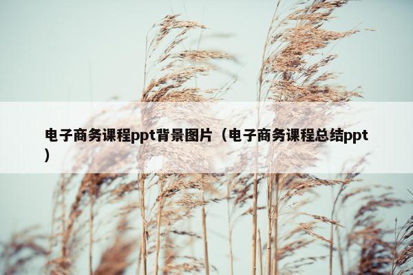 电子商务课程ppt背景图片（电子商务课程总结ppt）