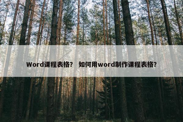 Word课程表格？ 如何用word制作课程表格？