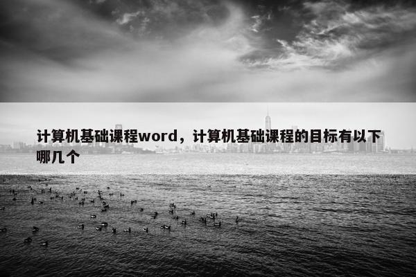 计算机基础课程word，计算机基础课程的目标有以下哪几个