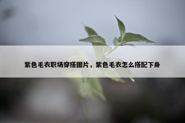 紫色毛衣职场穿搭图片，紫色毛衣怎么搭配下身