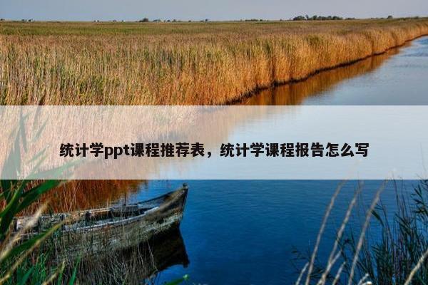 统计学ppt课程推荐表，统计学课程报告怎么写