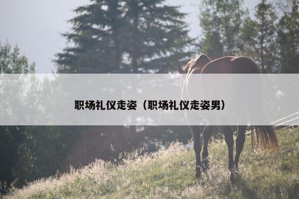 职场礼仪走姿（职场礼仪走姿男）