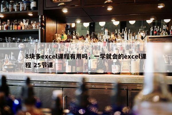 8块多excel课程有用吗，一学就会的excel课程 25节课