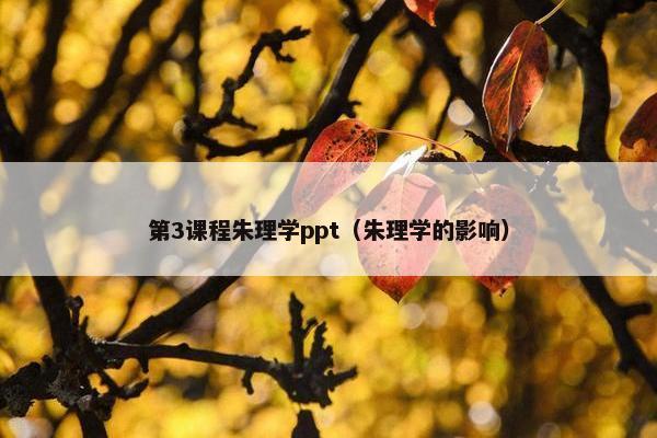 第3课程朱理学ppt（朱理学的影响）