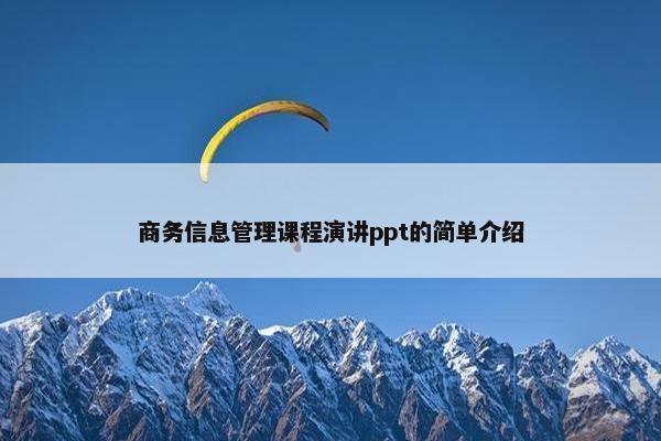 商务信息管理课程演讲ppt的简单介绍