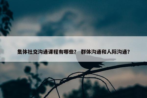集体社交沟通课程有哪些？ 群体沟通和人际沟通？