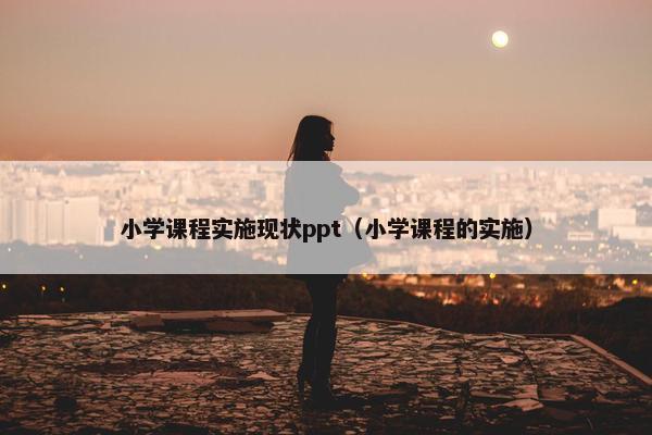 小学课程实施现状ppt（小学课程的实施）