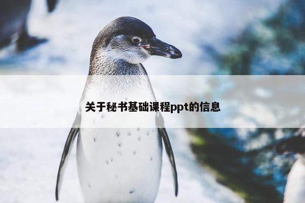 关于秘书基础课程ppt的信息