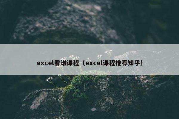excel看谁课程（excel课程推荐知乎）