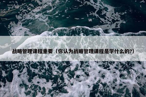 战略管理课程重要（你认为战略管理课程是学什么的?）