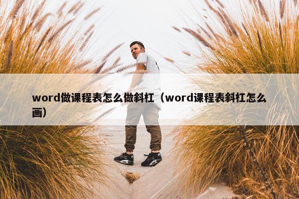 word做课程表怎么做斜杠（word课程表斜杠怎么画）