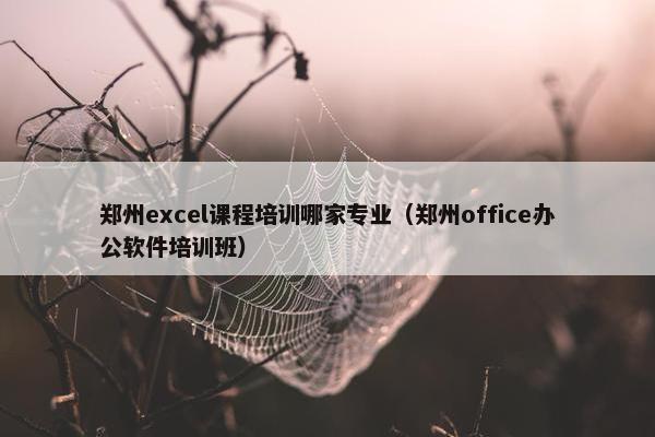 郑州excel课程培训哪家专业（郑州office办公软件培训班）