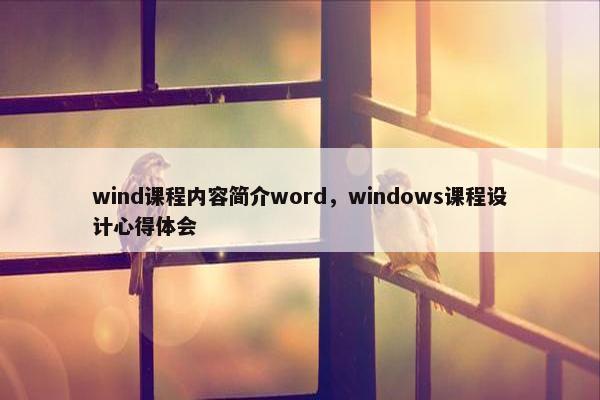 wind课程内容简介word，windows课程设计心得体会